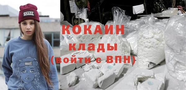 винт Богородицк