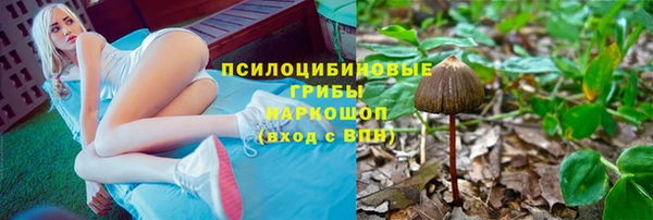 наркотики Богданович