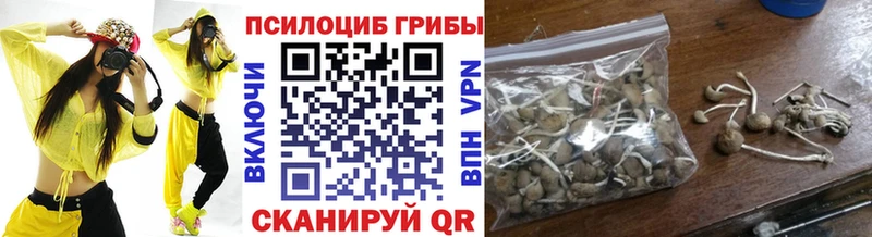 Псилоцибиновые грибы Cubensis  Купить  Похвистнево 