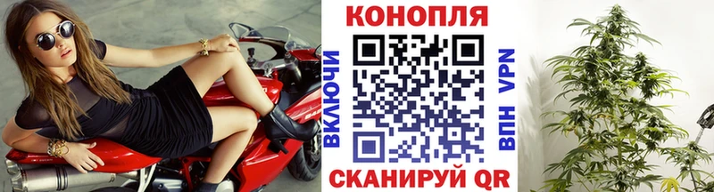 Купить где  Похвистнево  Шишки марихуана планчик 